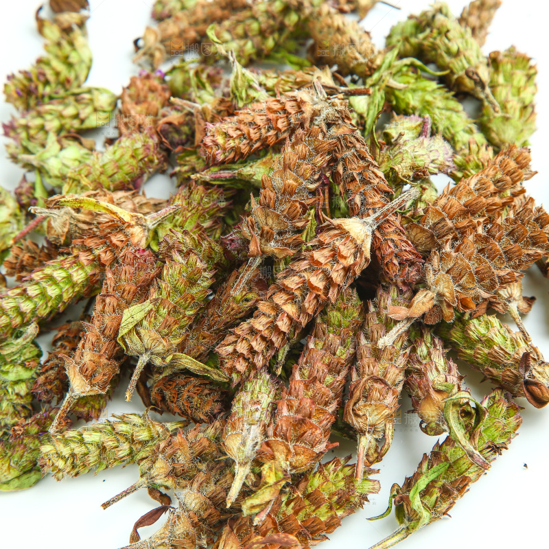 白底上放着夏枯草