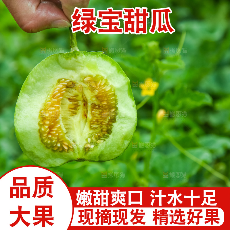 手里拿着绿宝石甜瓜