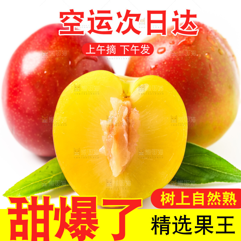 白底上摆放着珍珠李子