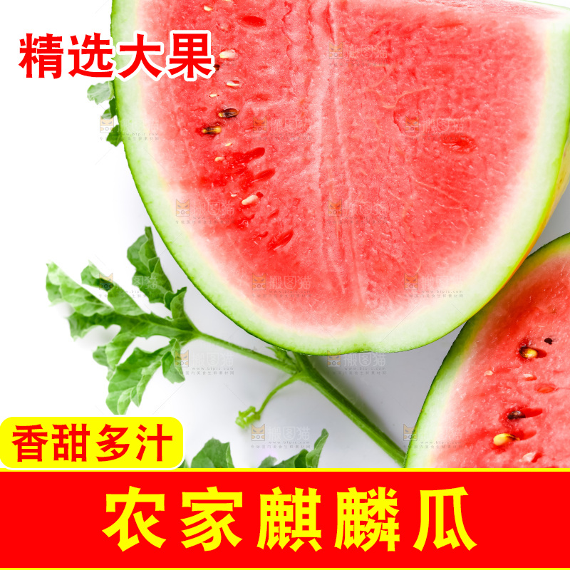 白底上摆放着麒麟西瓜