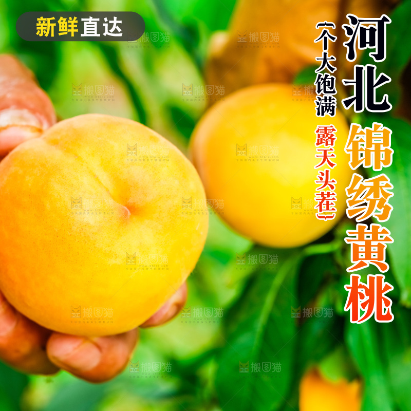 手里拿着新鲜黄桃