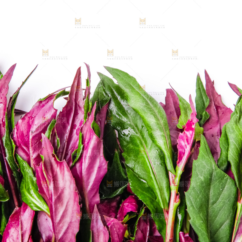 浅底上放着紫背菜