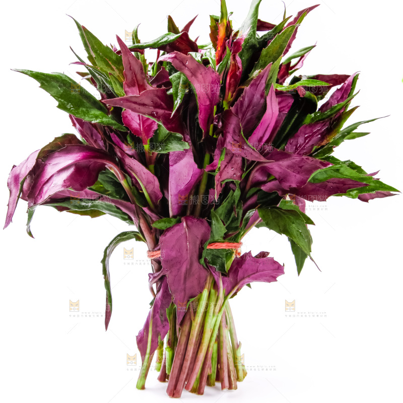 白底上摆放着血皮菜