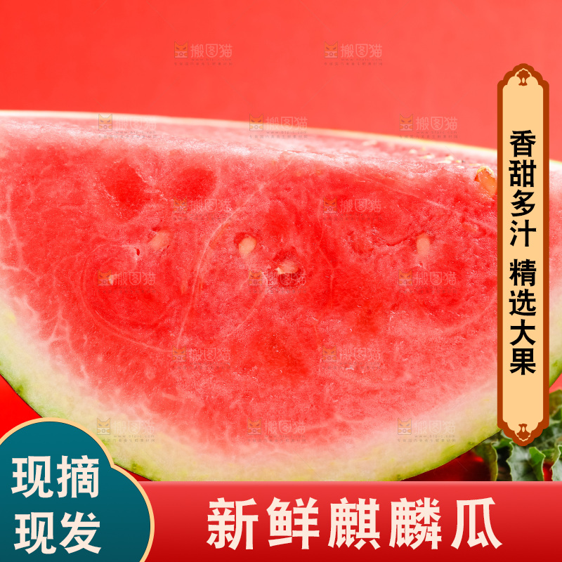 浅底上摆放着麒麟西瓜