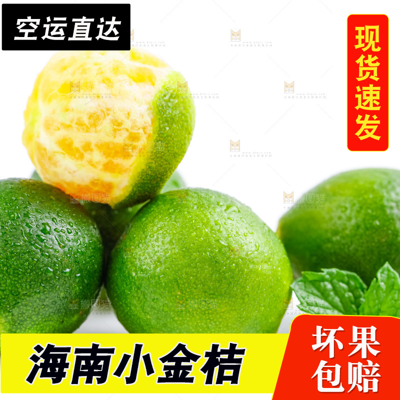 白底上摆放着海南小金桔