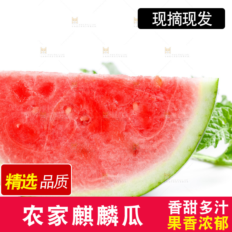 白底上摆放着麒麟西瓜