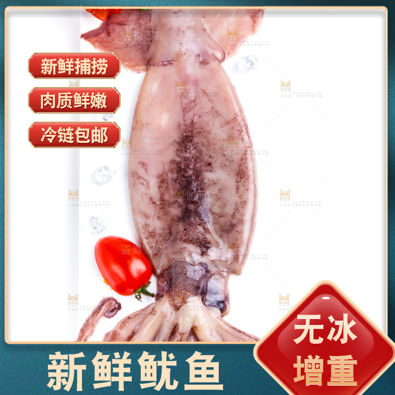 盘子里装着鱿鱼