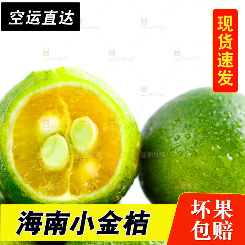 白底上摆放着海南小金桔
