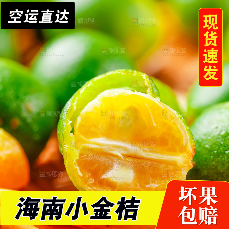 浅底上摆放着海南小金桔