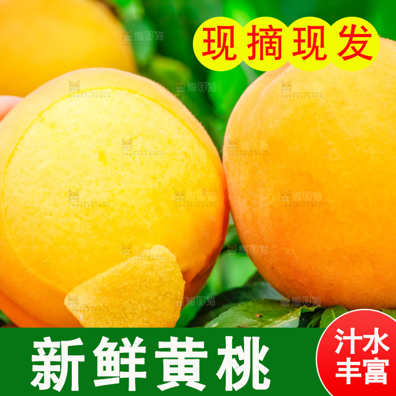 手里拿着黄肉毛桃