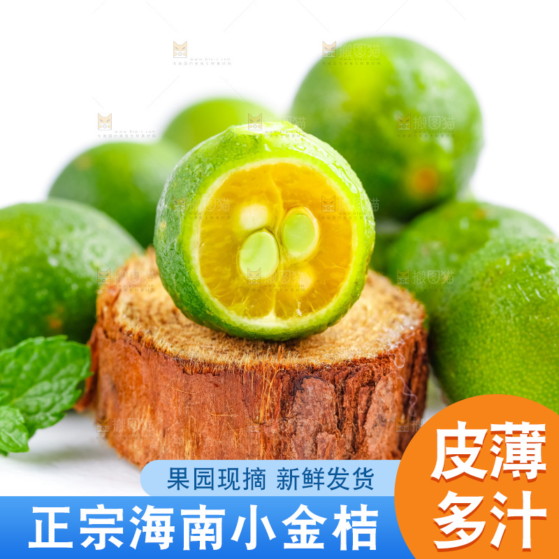 白底上摆放着海南小金桔