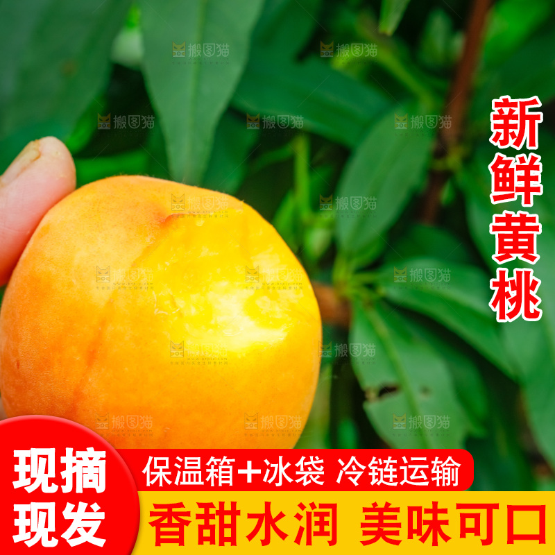 手里拿着新鲜黄桃