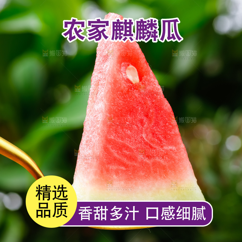勺子上放着一块西瓜
