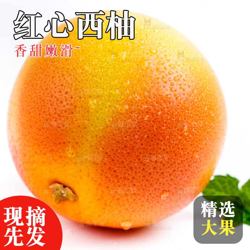 白底上摆放着西柚