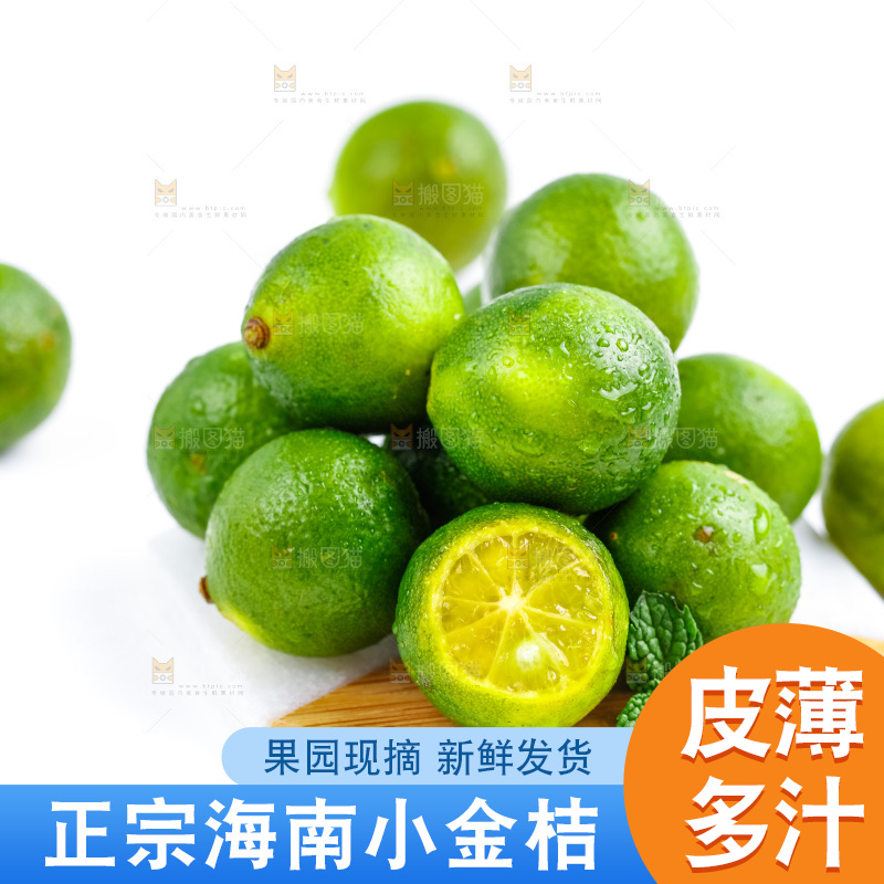 浅底上摆放海南小青桔