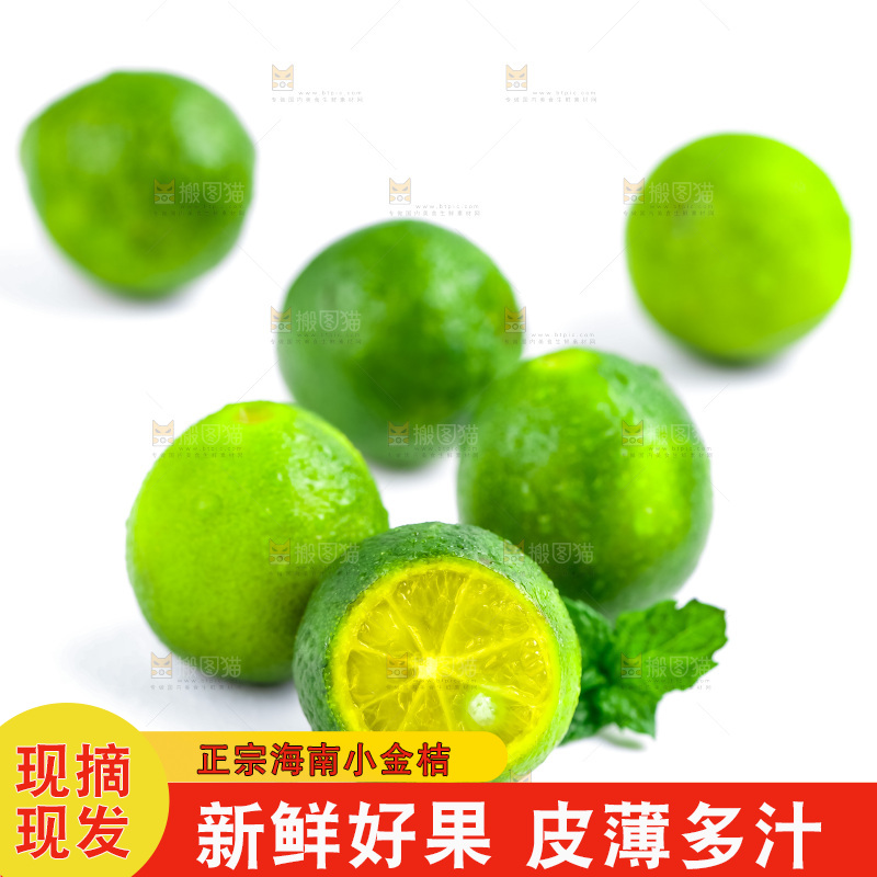 浅底上摆放海南小青桔