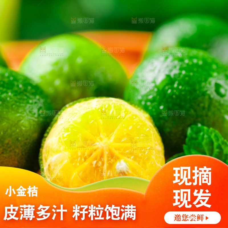 浅底上摆放着海南小金桔
