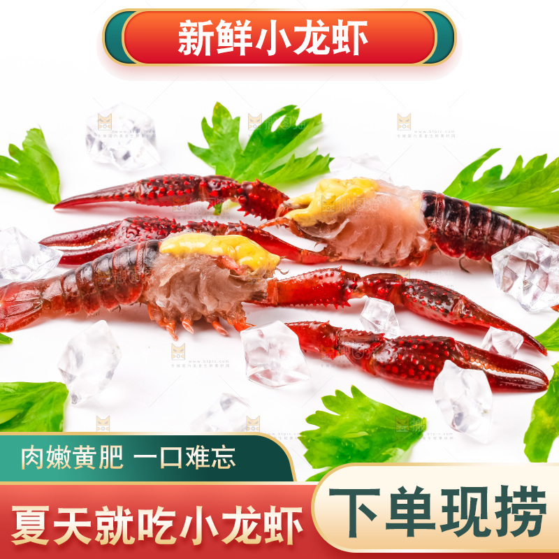 白底上摆放着龙虾