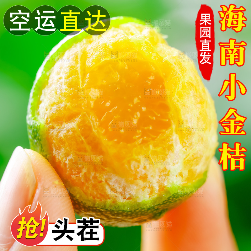 手里拿着小金桔
