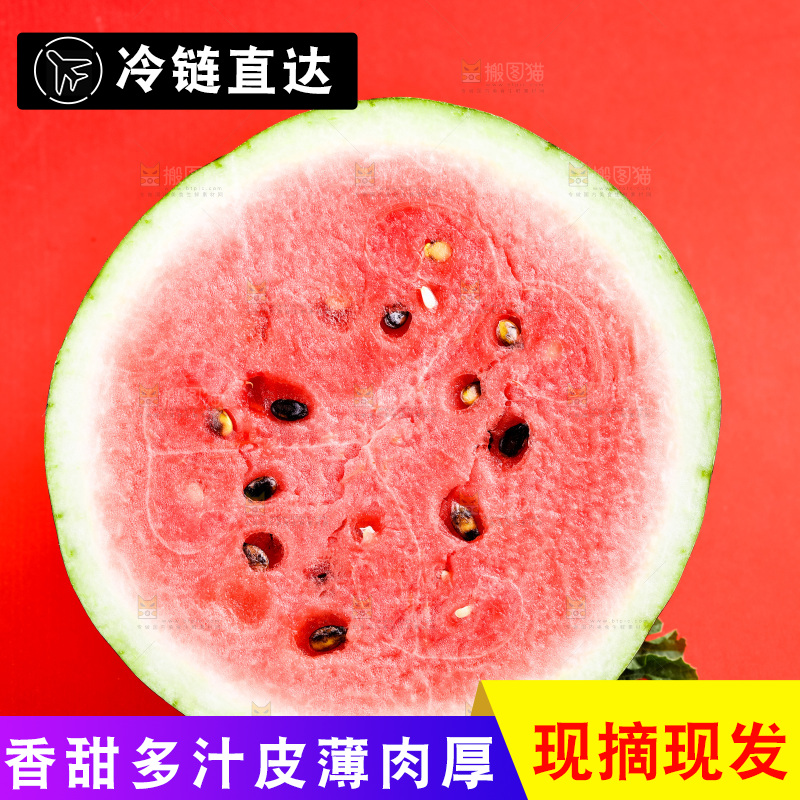 浅底上摆放着麒麟西瓜