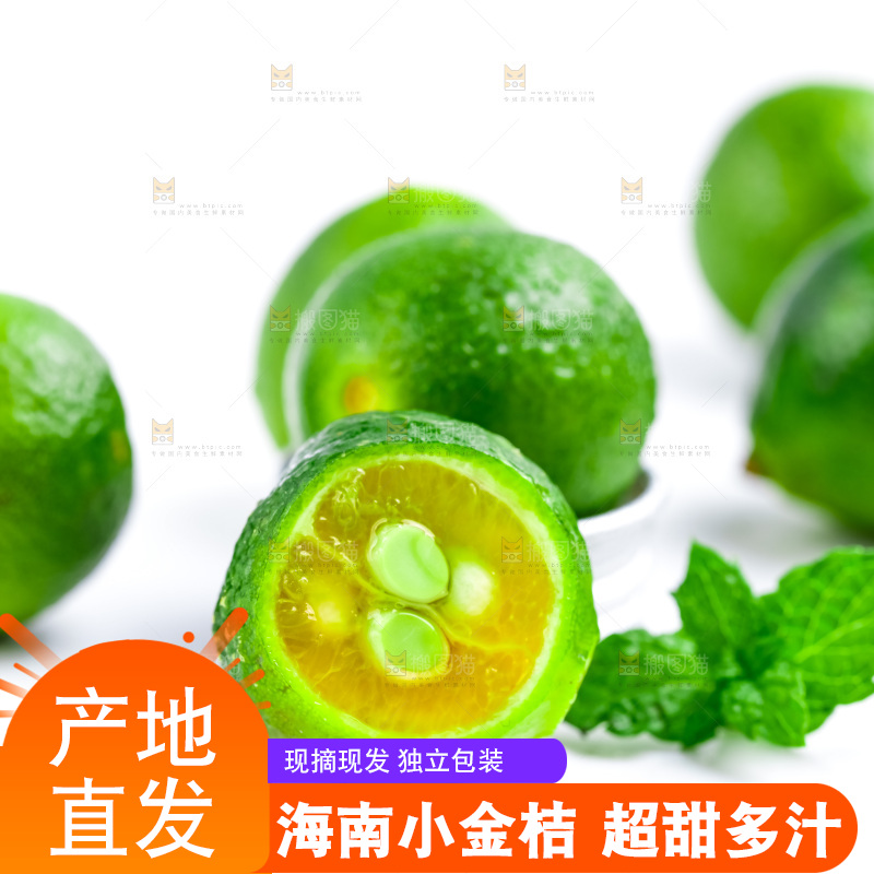 白底上摆放着海南小金桔