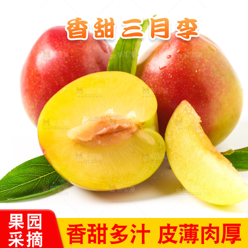 白底上摆放着珍珠李子