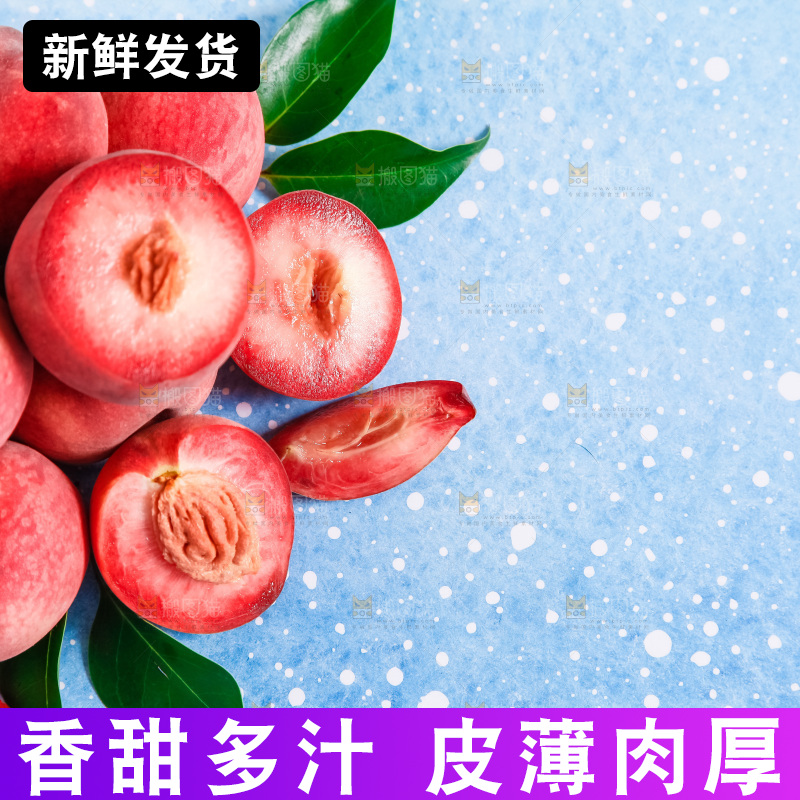 浅底上摆放着春雪水蜜桃