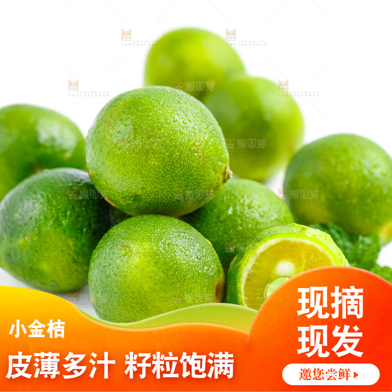 白底上摆放着海南小金桔