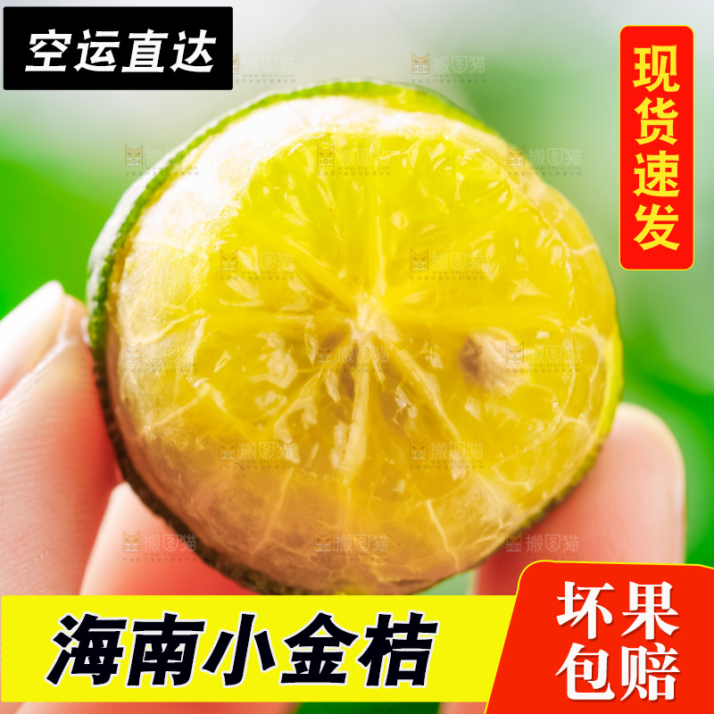 手里拿着小金桔