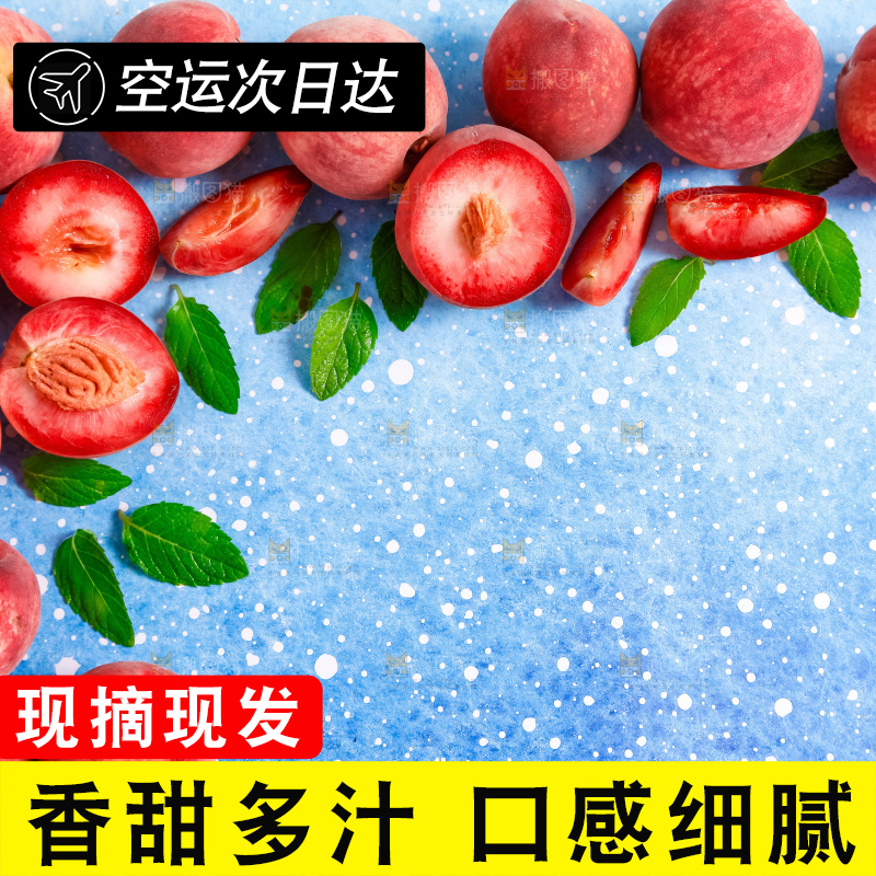 浅底上摆放着春雪水蜜桃