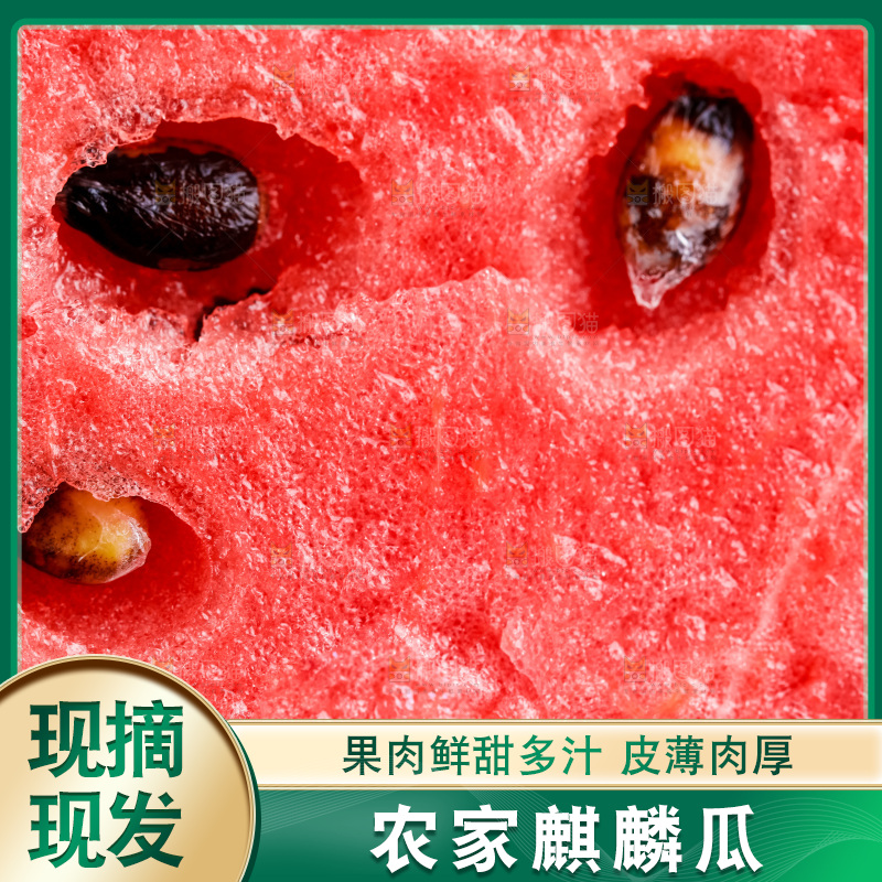 西瓜的果肉