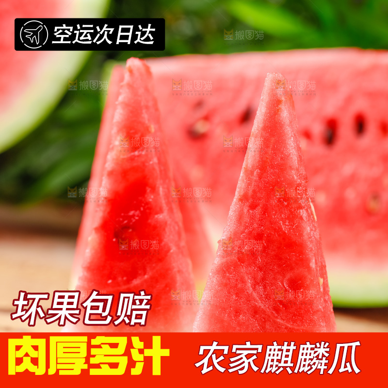 木底上摆放着西瓜