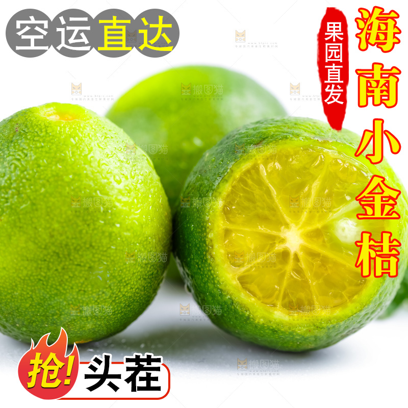 浅底上摆放海南小青桔