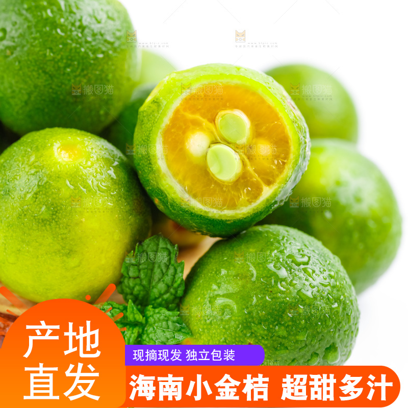 白底上摆放着海南小金桔