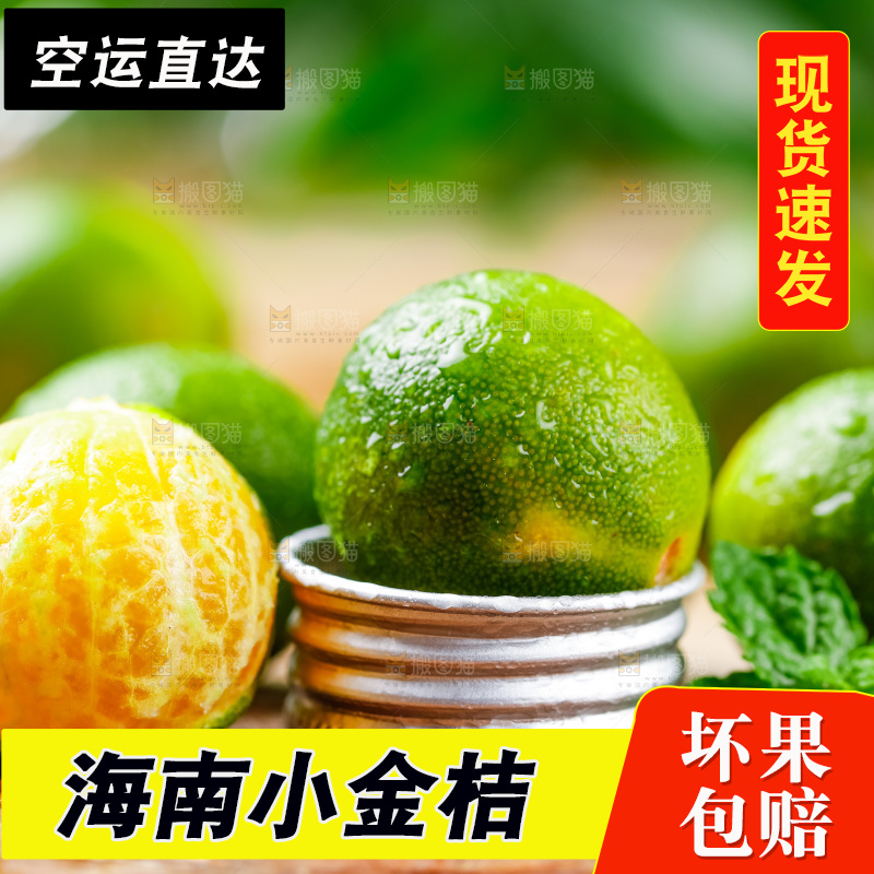 木底上摆放着海南小金桔