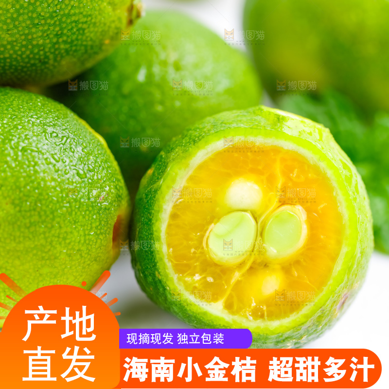 白底上摆放着海南小金桔