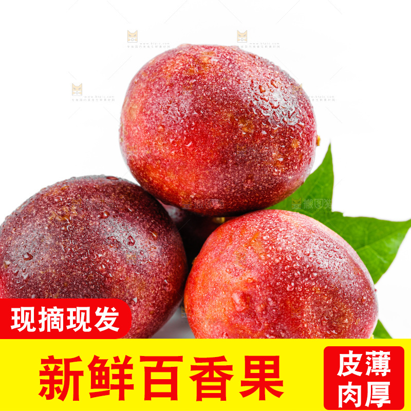白底上摆放着紫皮百香果