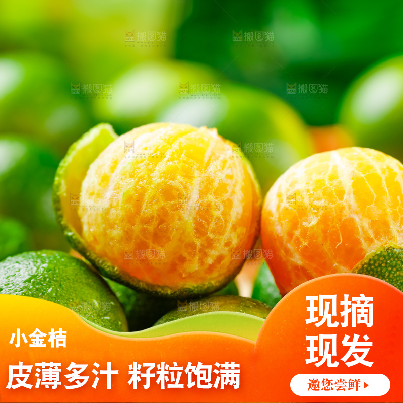 浅底上摆放着海南小金桔