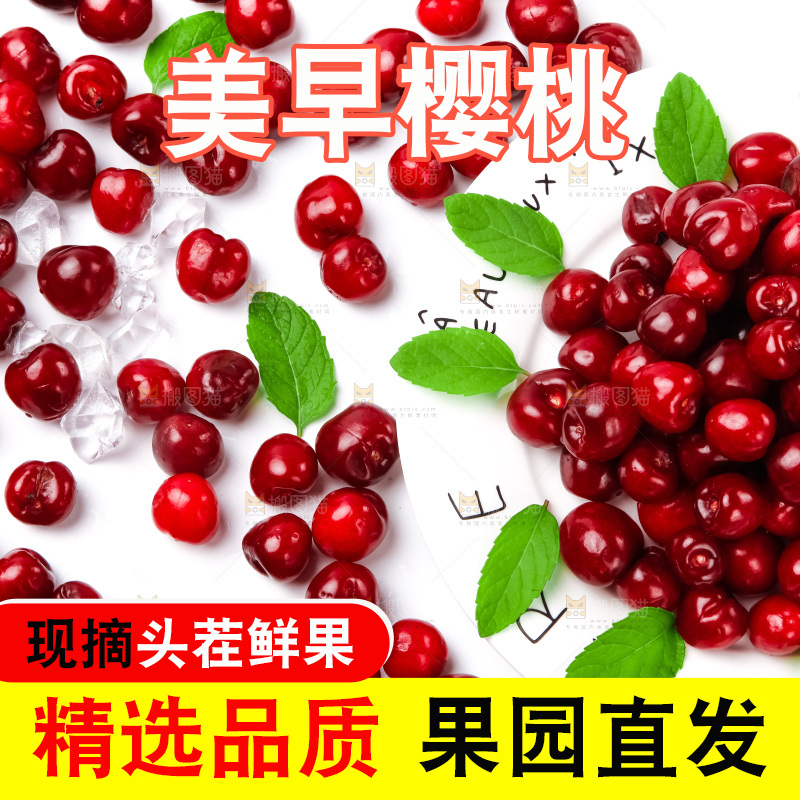 白底上摆放着烟台樱桃