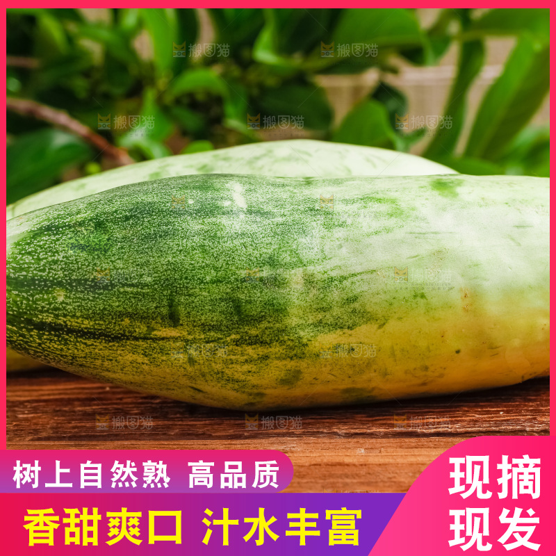 木底上摆放着新鲜羊角蜜