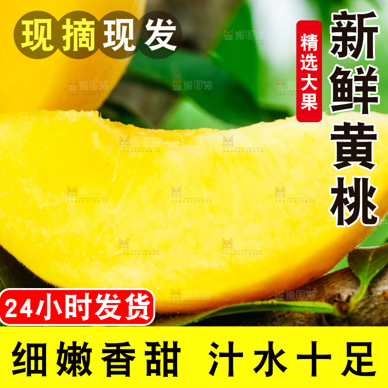 树枝上结的黄皮黄桃
