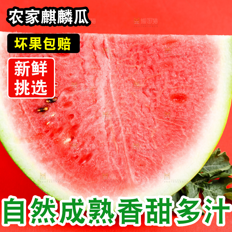浅底上摆放着麒麟西瓜