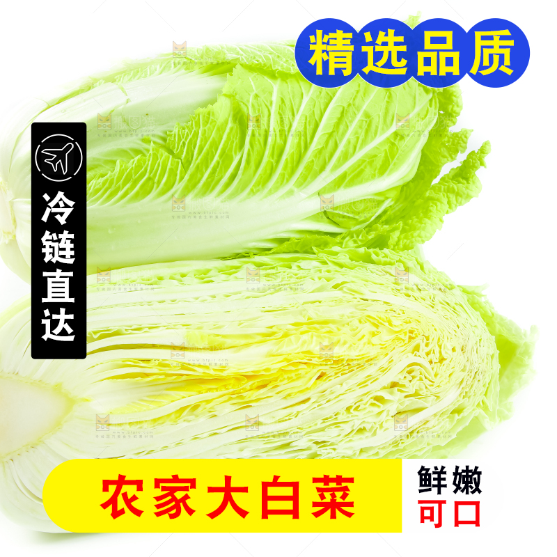 白底上放着白菜
