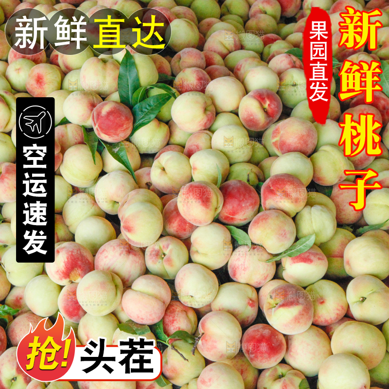 框子里装着毛桃