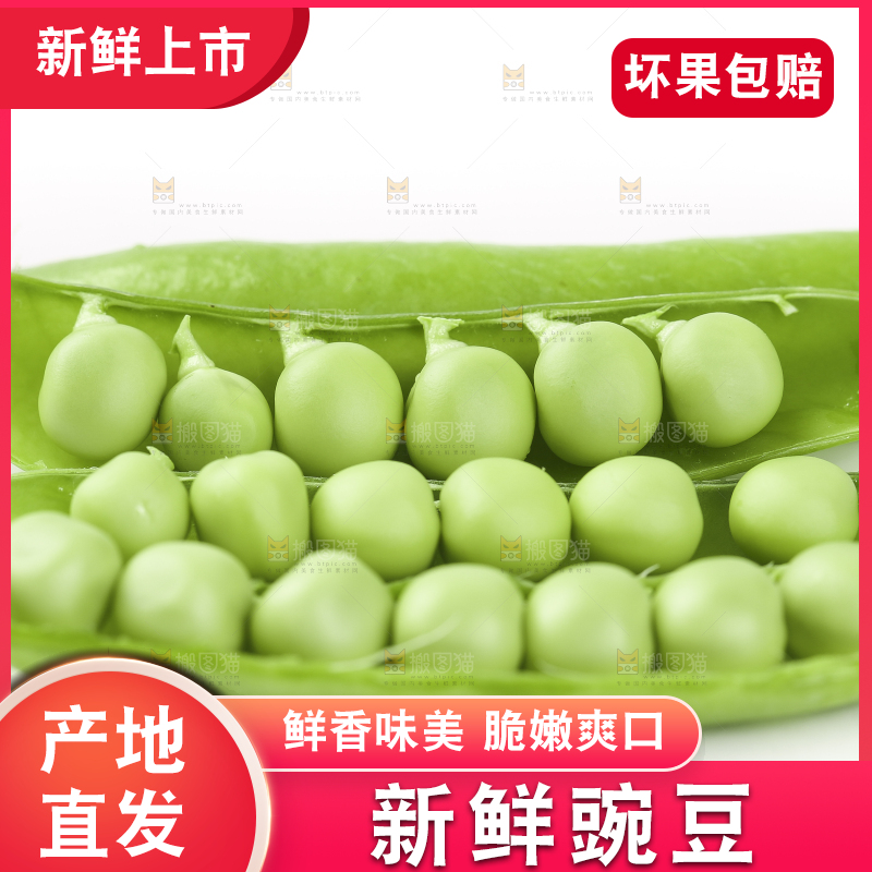 白底上的豌豆荚