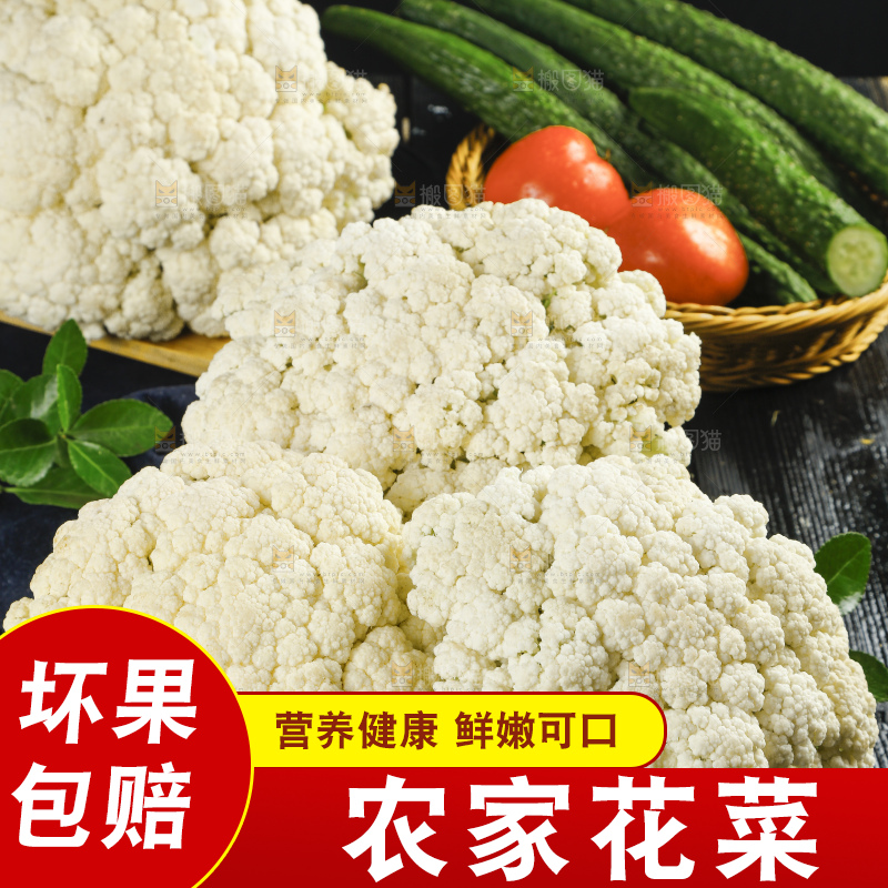 黑底上的山东新鲜白菜花