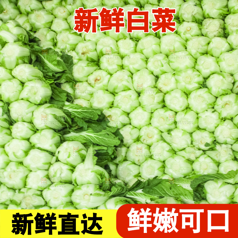 车上装着白菜