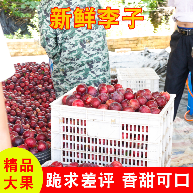 框子里装着红布林