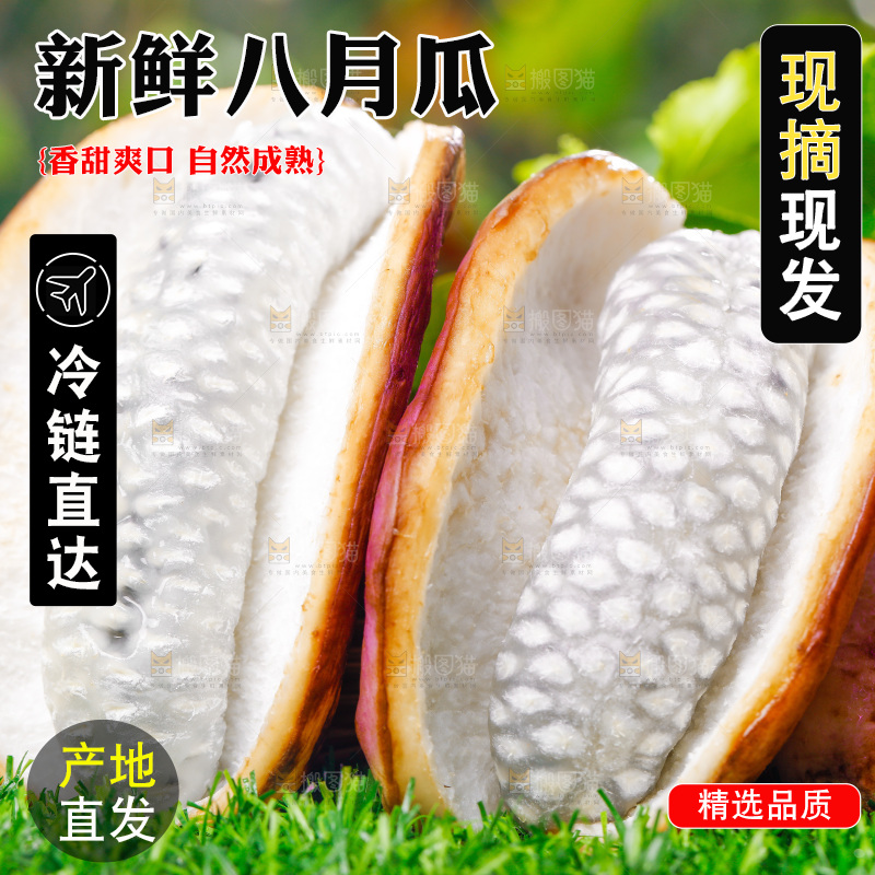 草地上的八月瓜