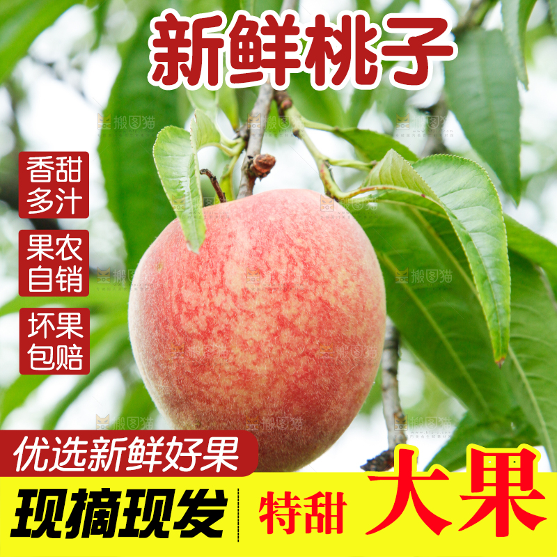 树上挂着胭脂红桃子